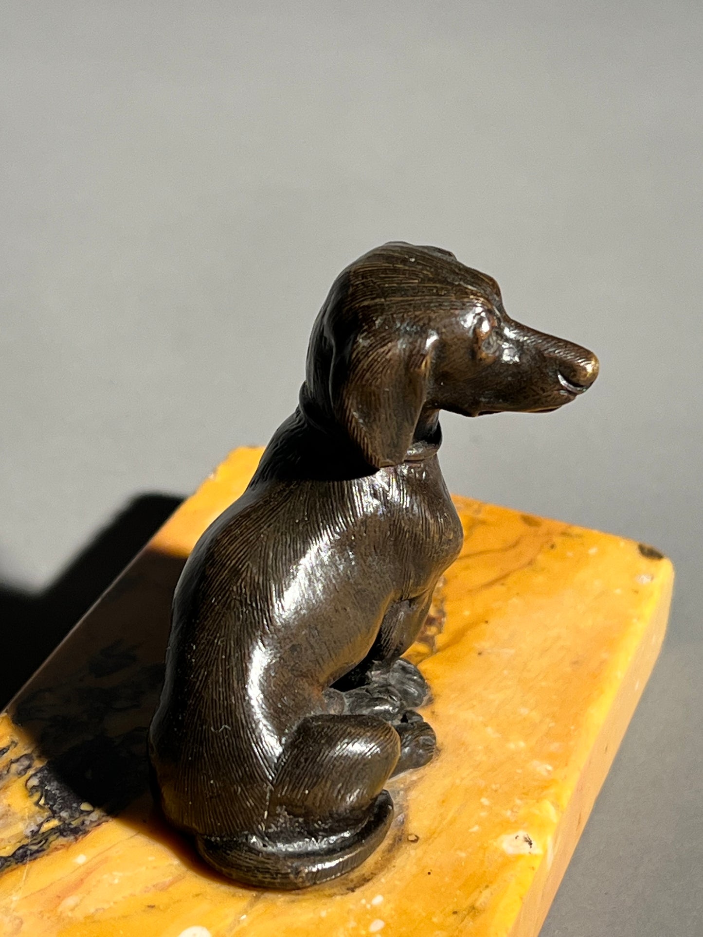 19th Century Bronze Figure of a Dachshund on Siena Marble Base