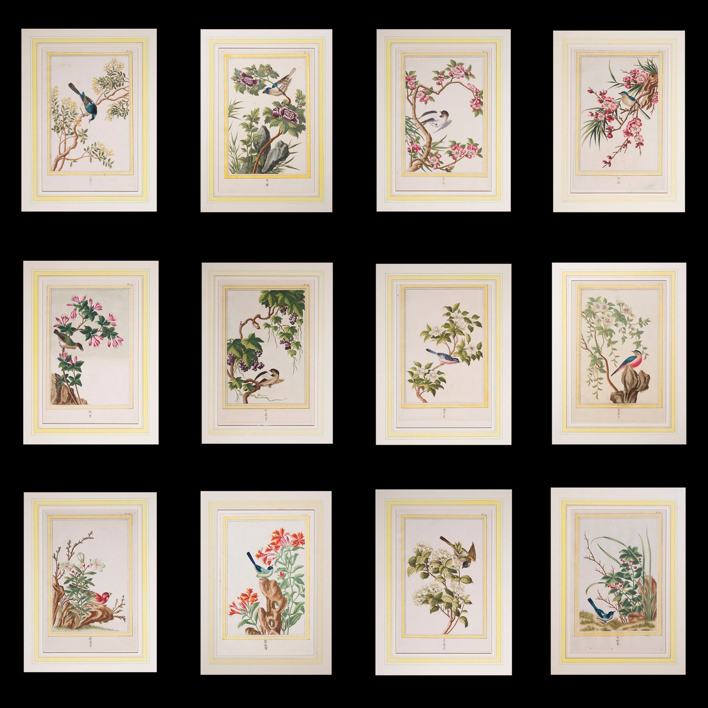 Twelve 18th Century Botanical Engravings, P.J. Buchoz