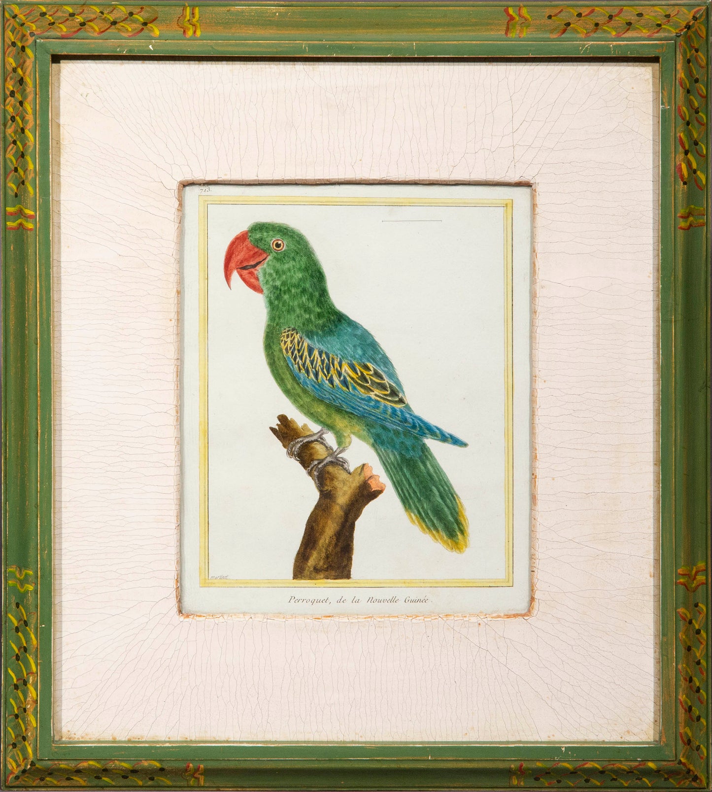 Four Parrot Engravings by François Nicolas Martinet