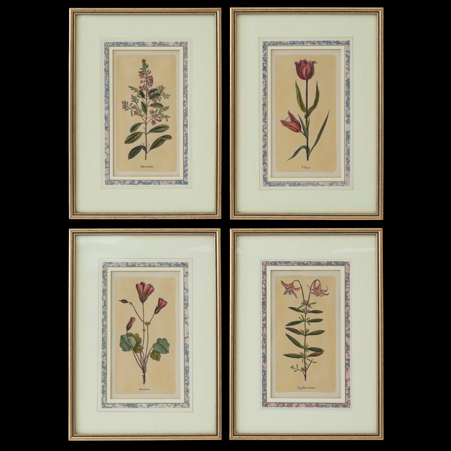 Set of Four Botanical Engravings after Jacques de Sève