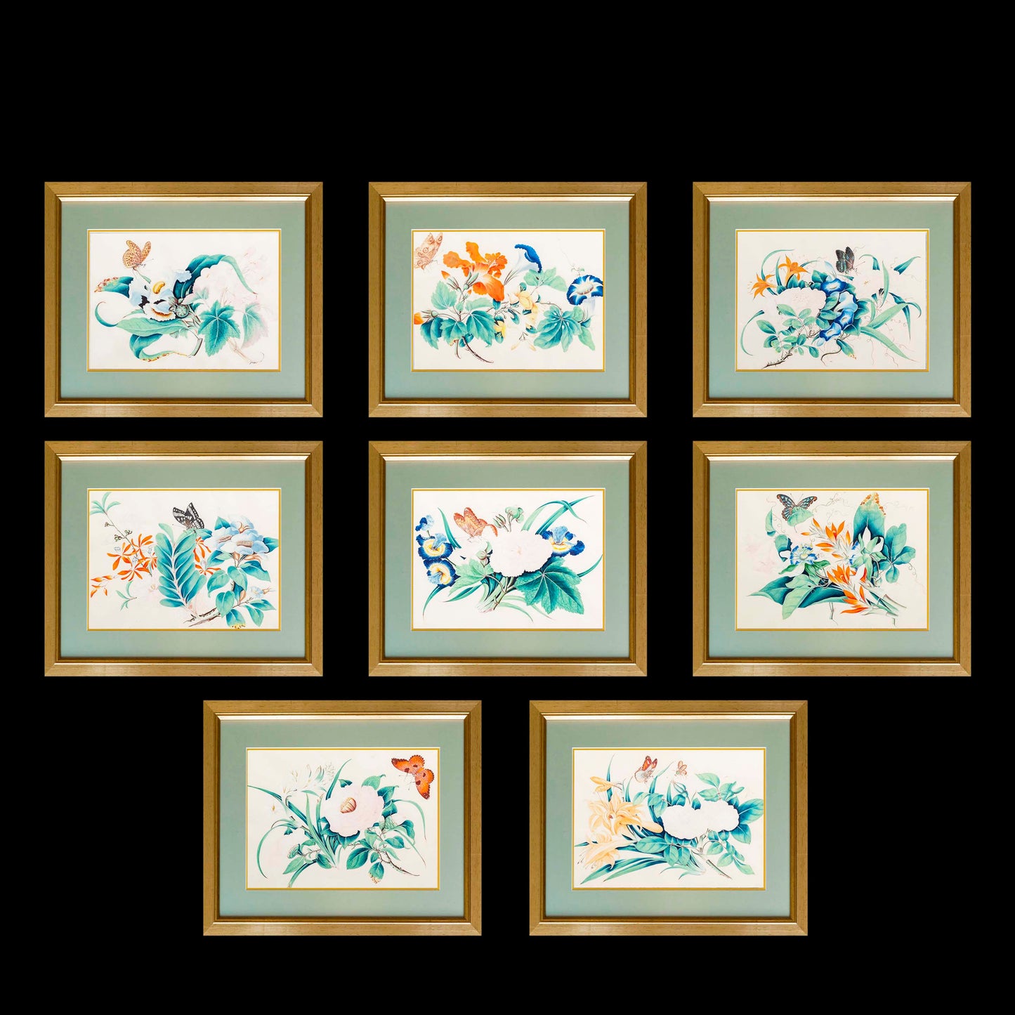 Set of Eight Exquisite Botanical Studies