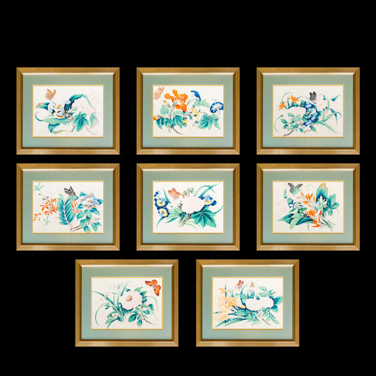 Set of Eight Exquisite Botanical Studies