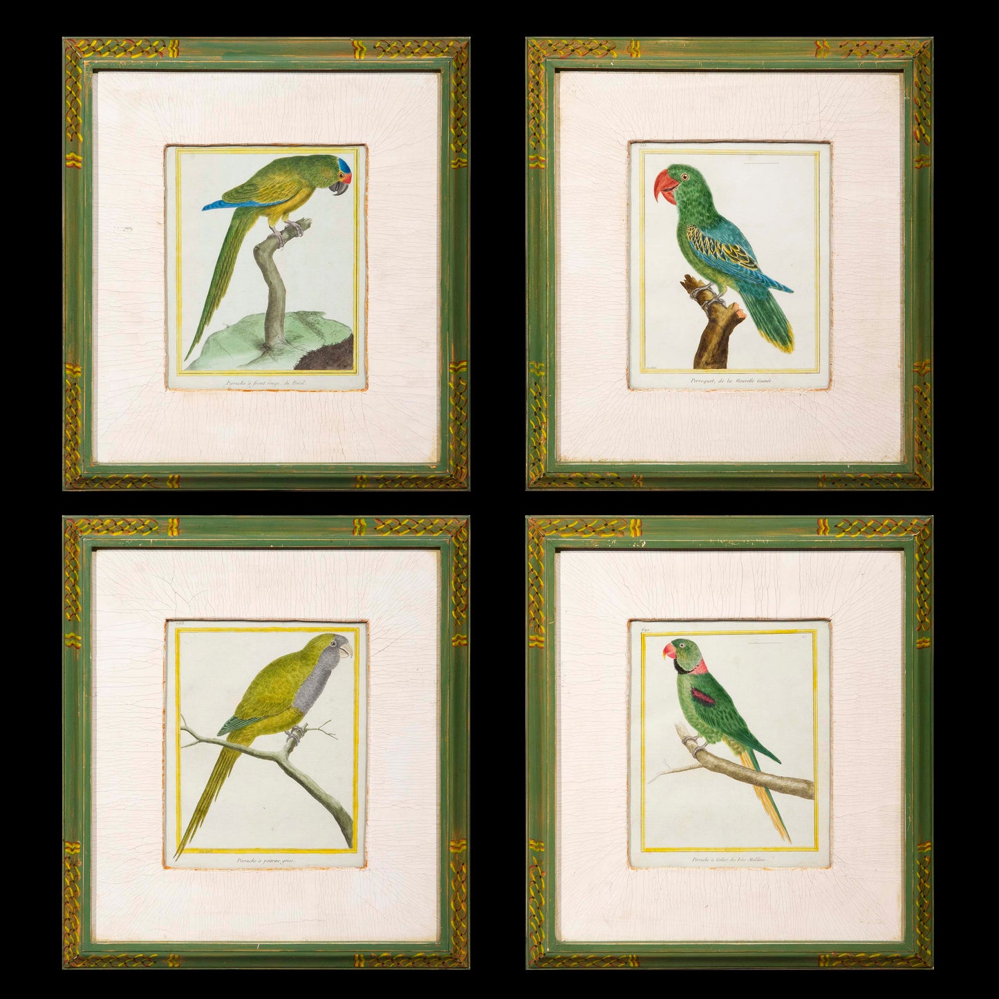 Four Parrot Engravings by François Nicolas Martinet