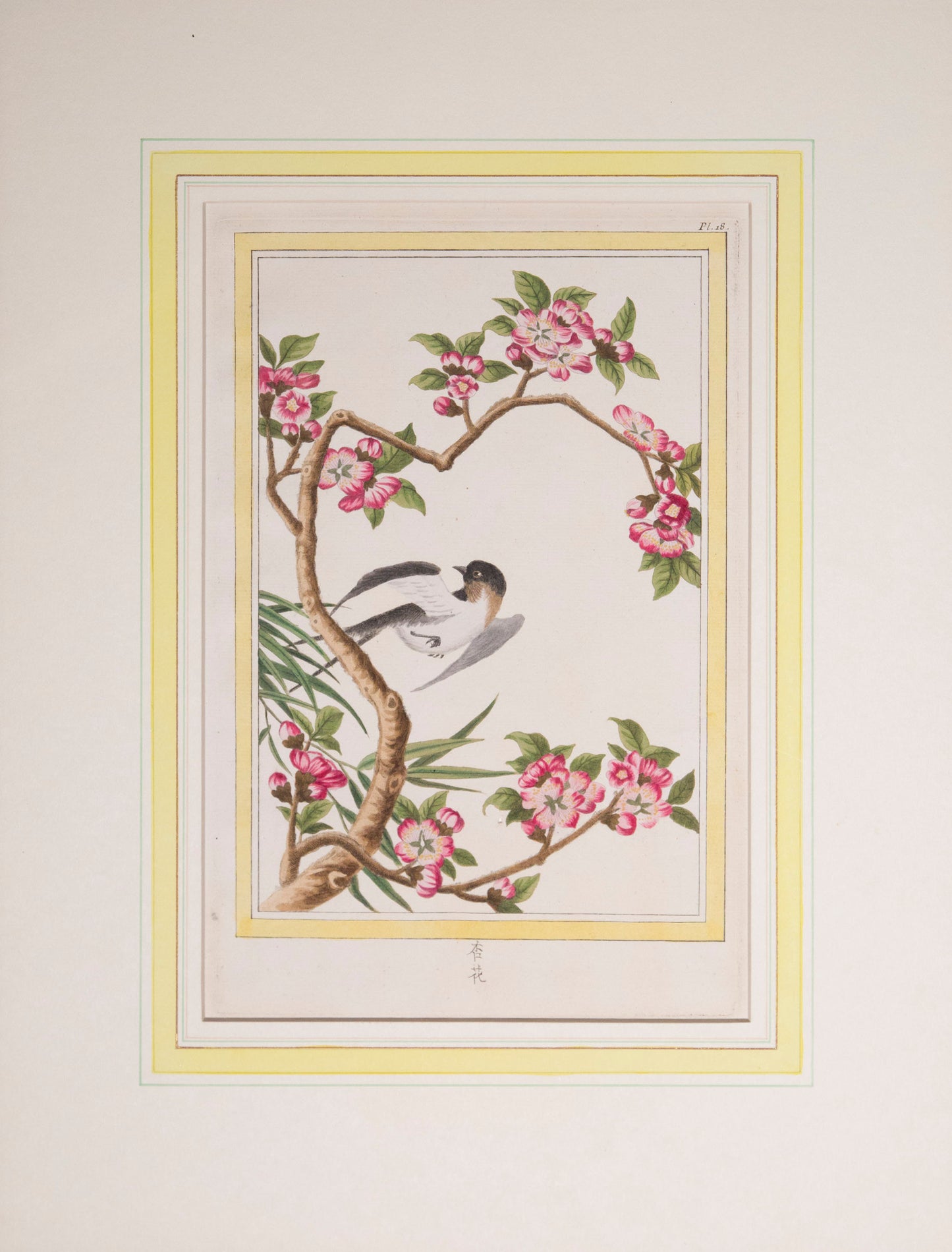 Six 18th Century Botanical Engravings, P.J. Buchoz