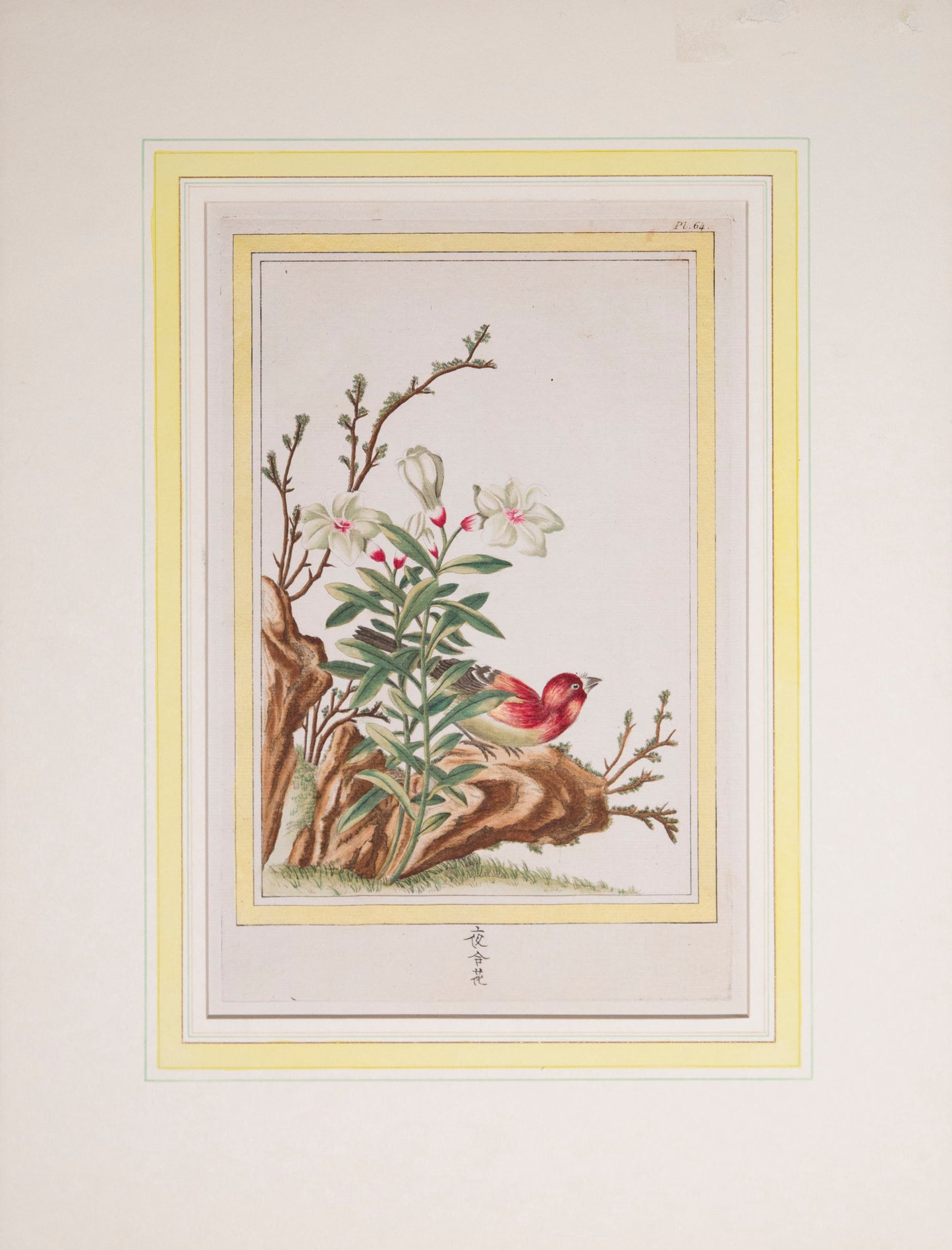 Six 18th Century Botanical Engravings, P.J. Buchoz