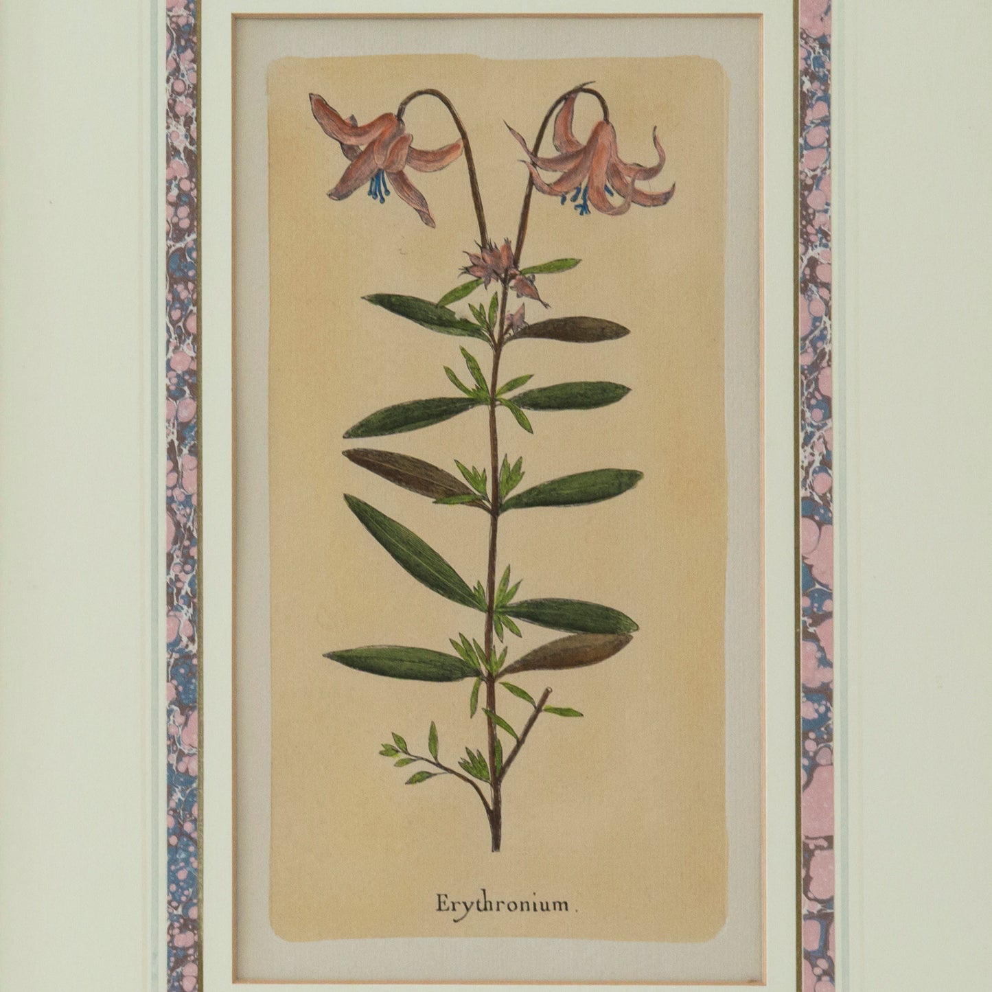 Set of Four Botanical Engravings after Jacques de Sève