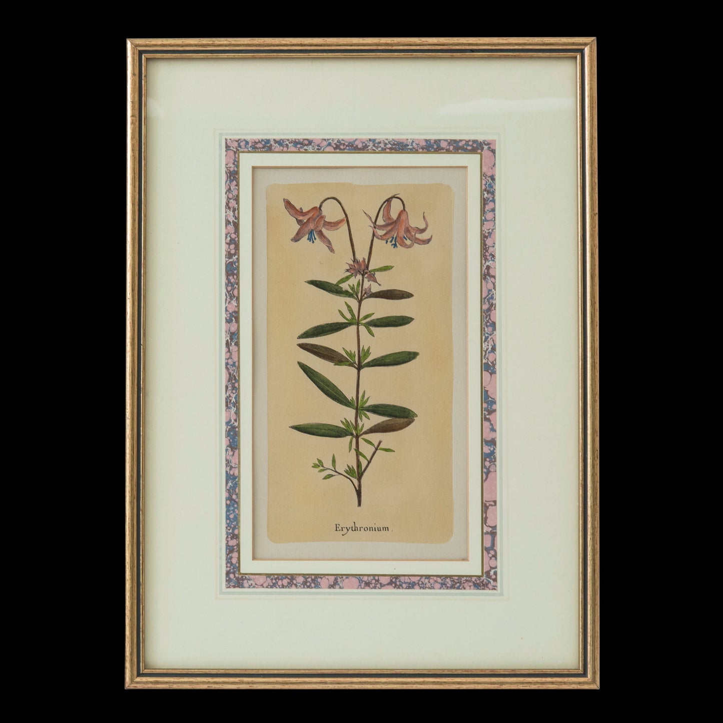 Set of Four Botanical Engravings after Jacques de Sève