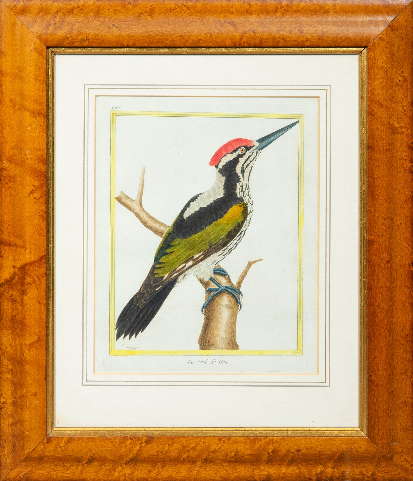 Pair of Ornithological Engravings by François Nicolas Martinet