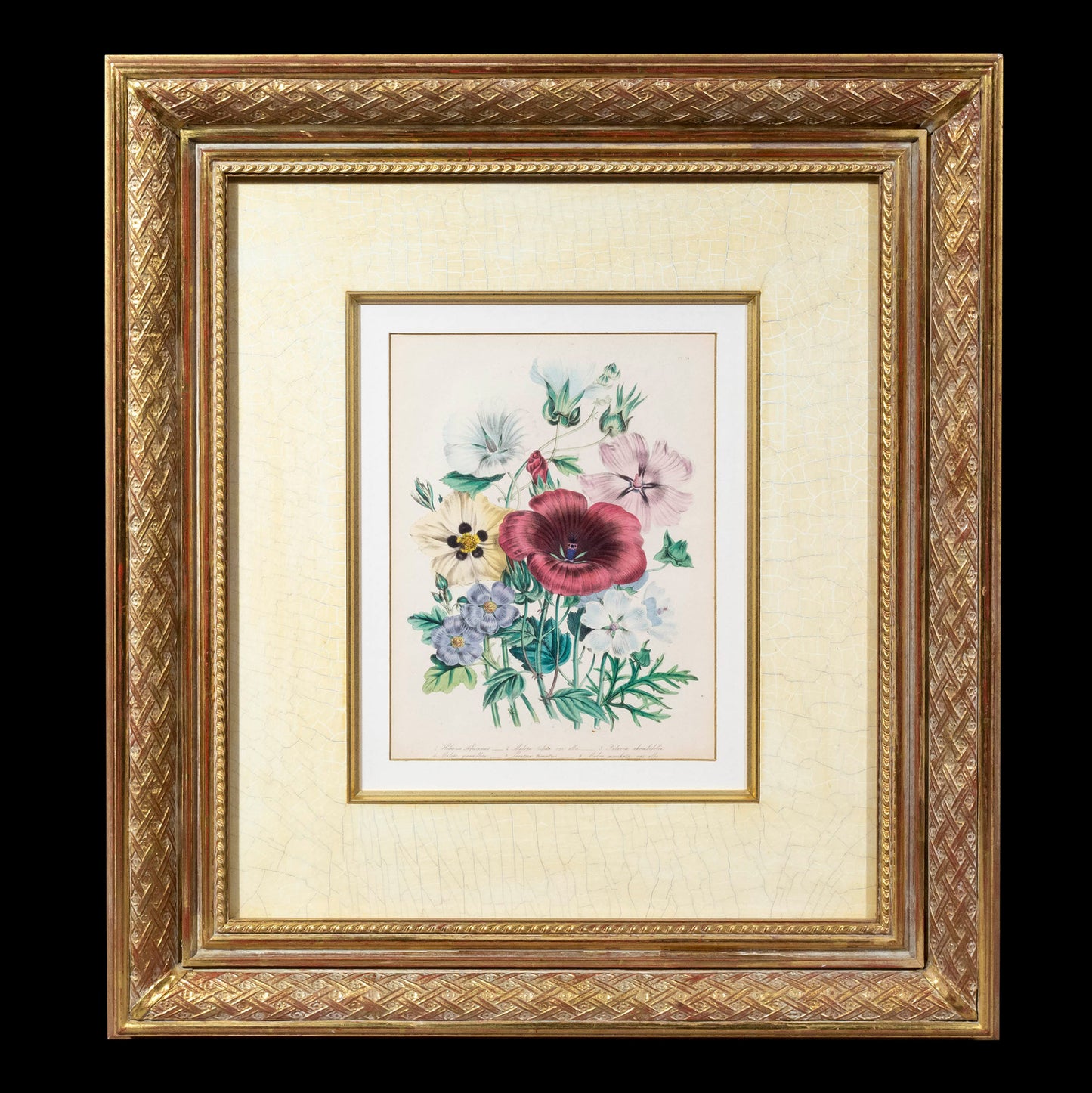 Pair of 19th Century Botanical Prints after Jane Webb Loudon