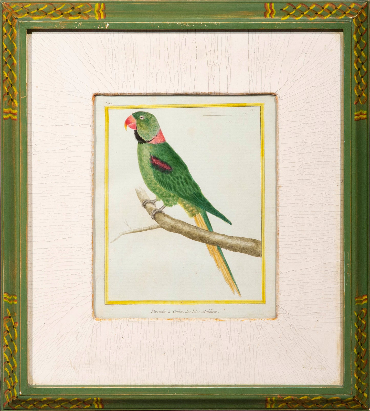 Four Parrot Engravings by François Nicolas Martinet