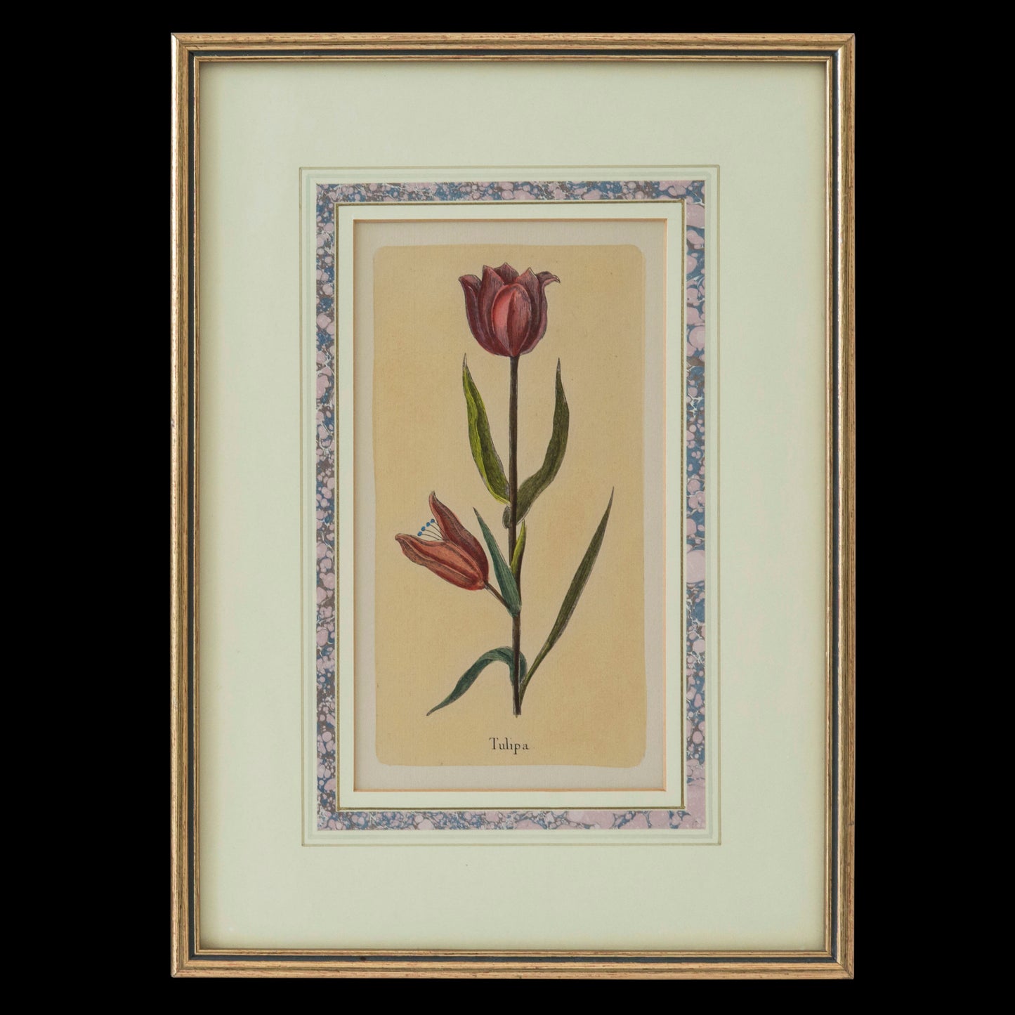 Set of Four Botanical Engravings after Jacques de Sève