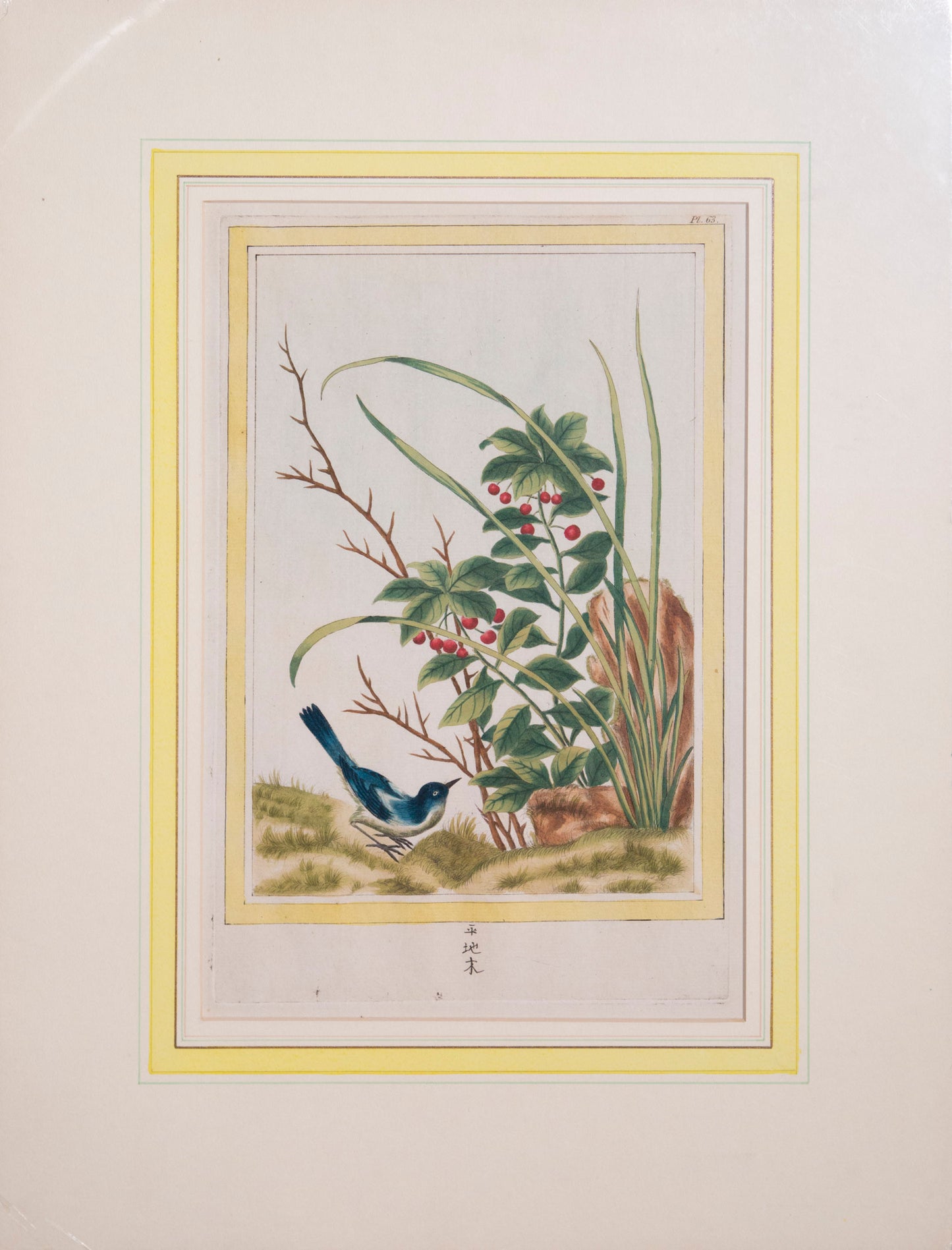 Six 18th Century Botanical Engravings, P.J. Buchoz