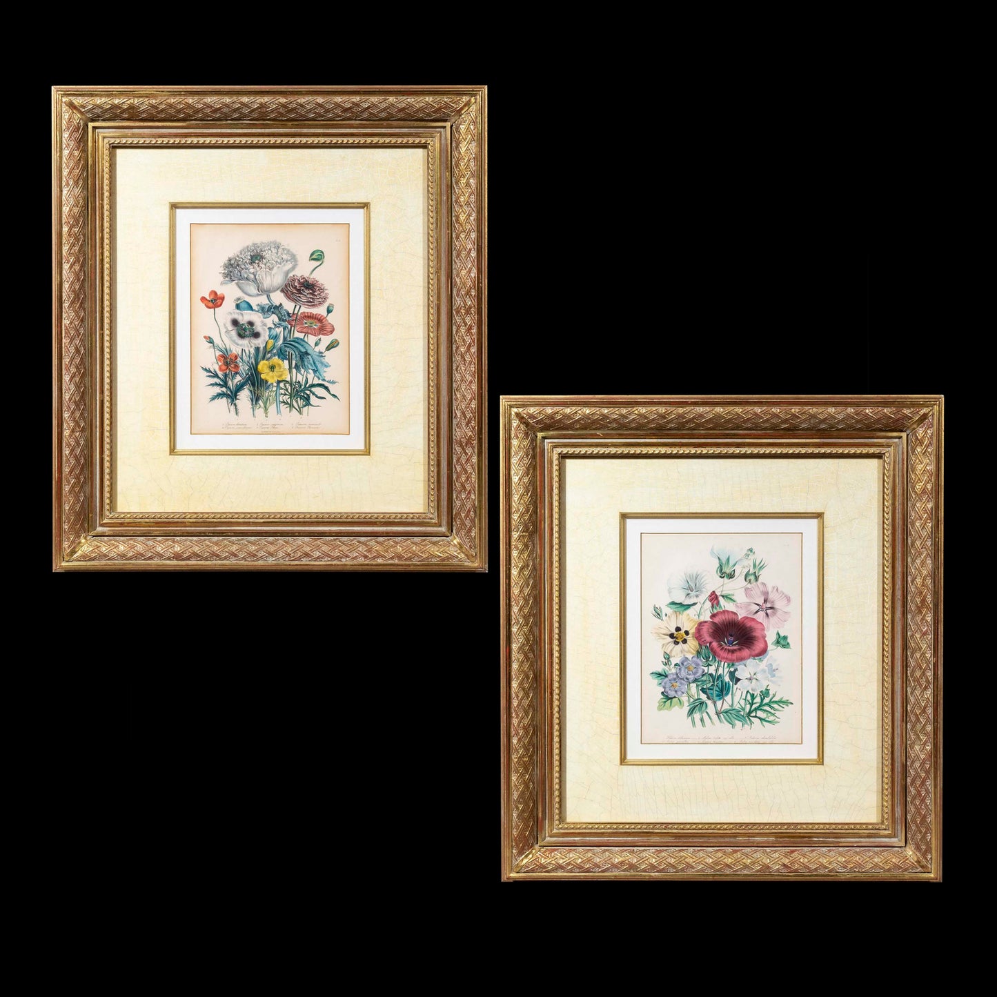 Pair of 19th Century Botanical Prints after Jane Webb Loudon