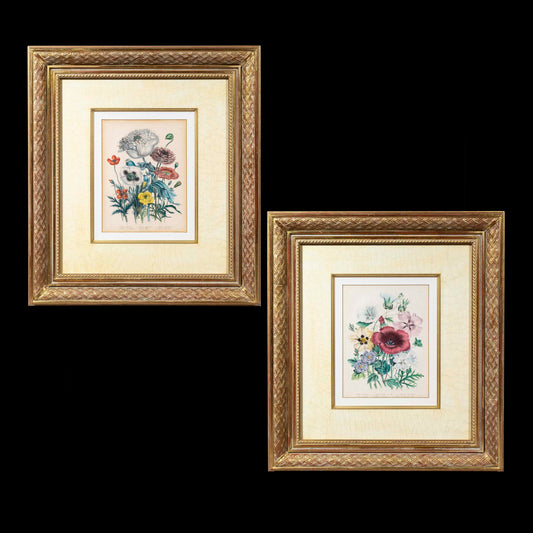 Pair of 19th Century Botanical Prints after Jane Webb Loudon