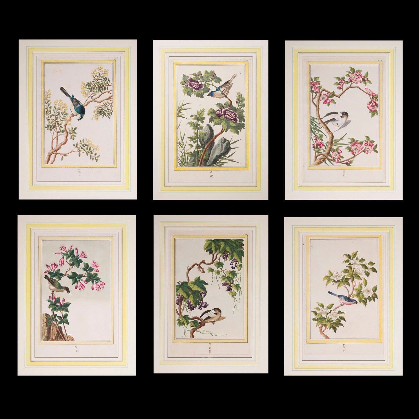Six 18th Century Botanical Engravings, P.J. Buchoz