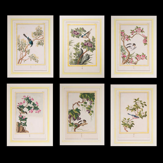 Six 18th Century Botanical Engravings, P.J. Buchoz