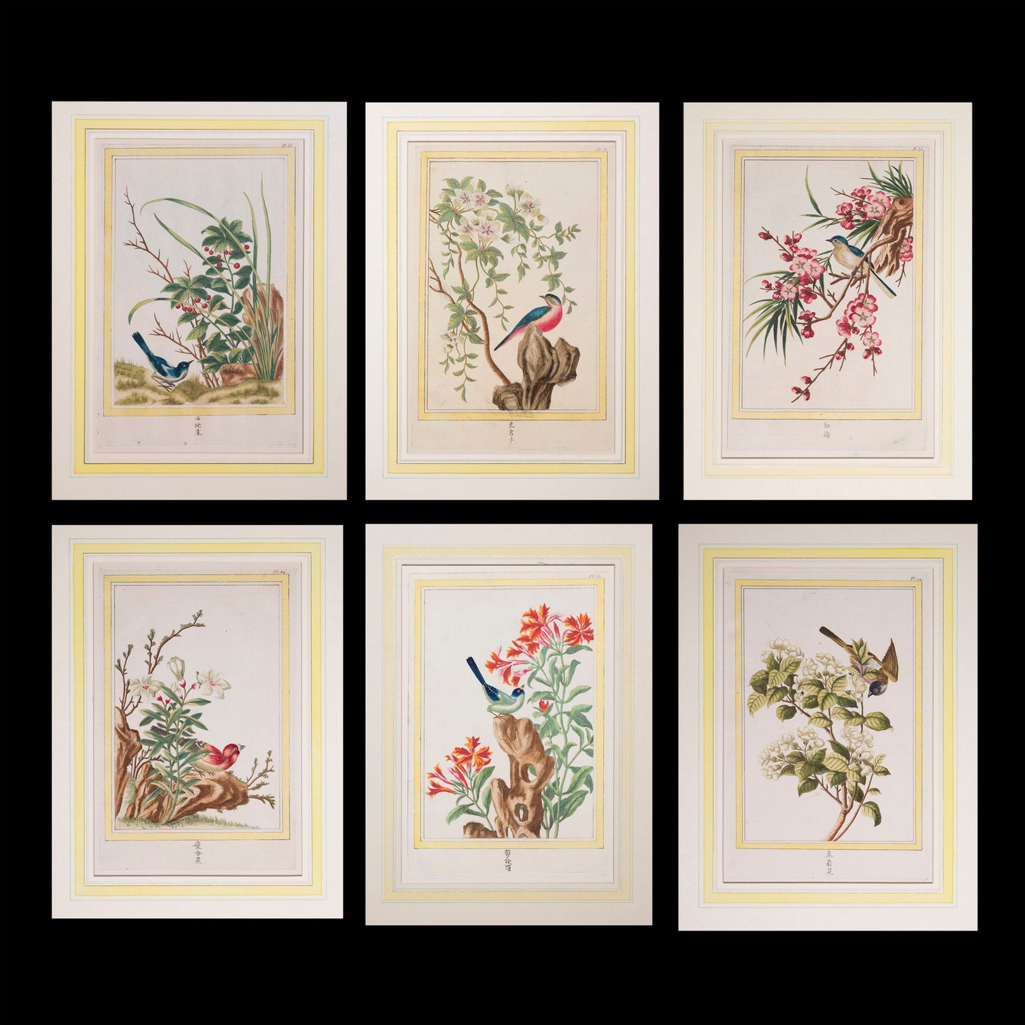 Six 18th Century Botanical Engravings, P.J. Buchoz