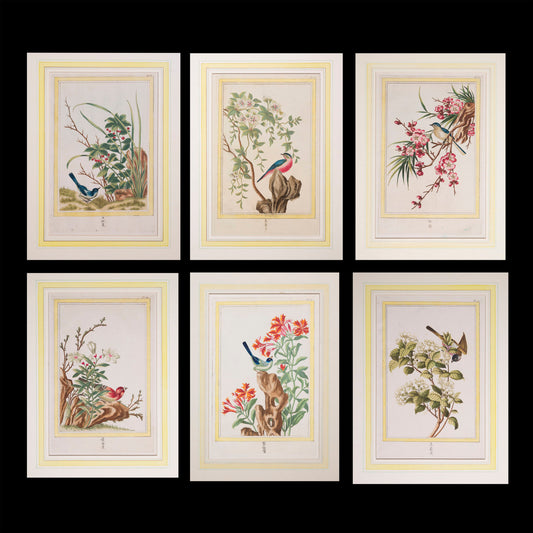 Six 18th Century Botanical Engravings, P.J. Buchoz