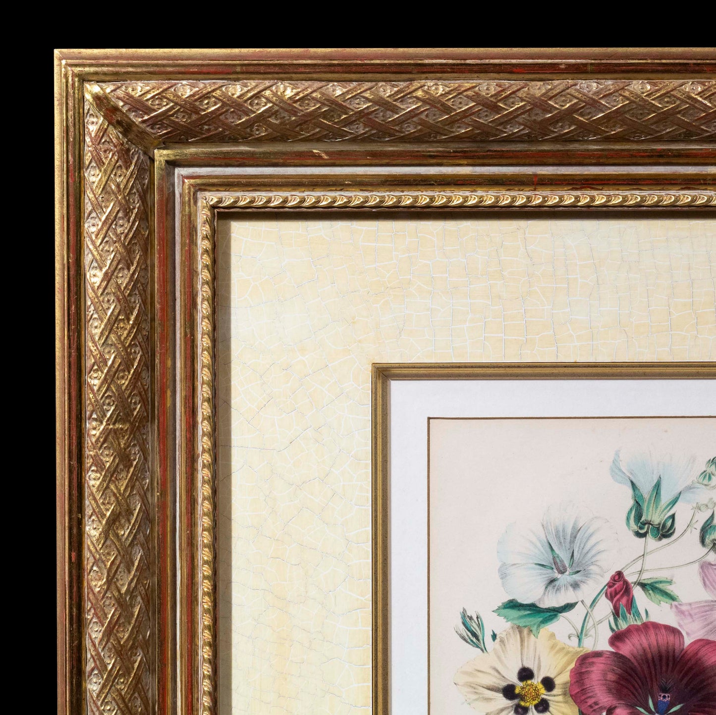 Pair of 19th Century Botanical Prints after Jane Webb Loudon