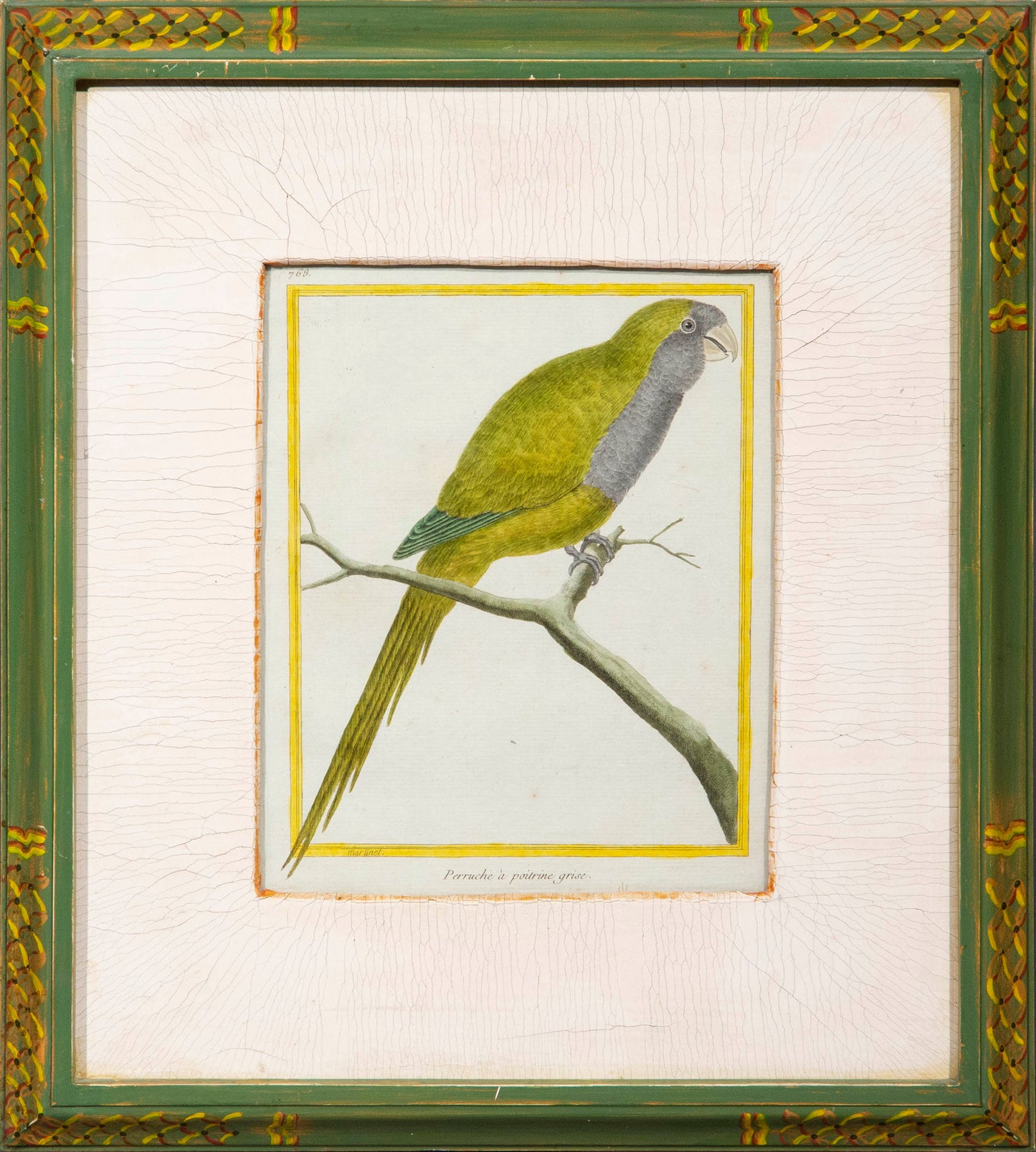 Four Parrot Engravings by François Nicolas Martinet