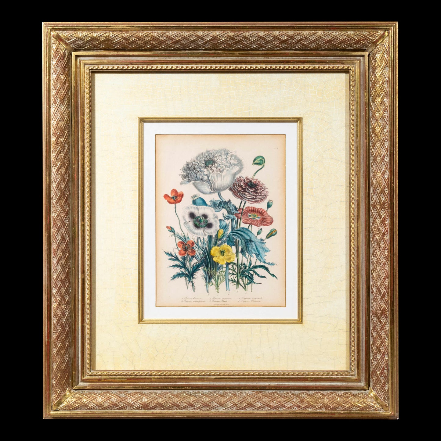 Pair of 19th Century Botanical Prints after Jane Webb Loudon