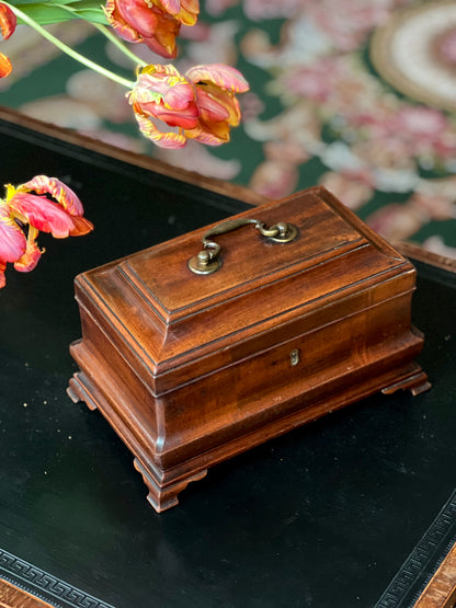 Two 18th Century Tea Caddies