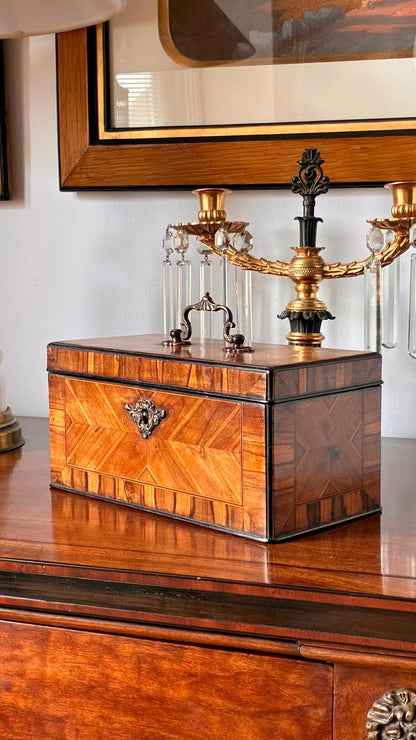 George II Period Parquetry Cocuswood Tea Caddy