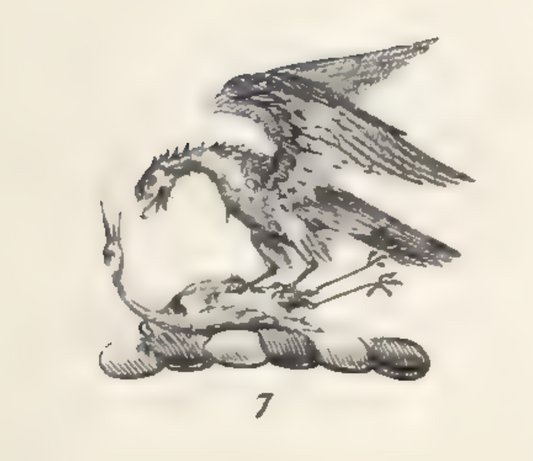 Duke of Montrose Hall Chair by Gillows