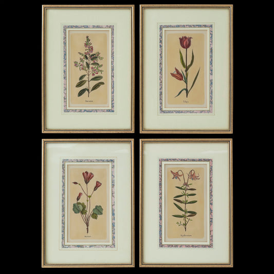 Set of Four Botanical Engravings after Jacques de Sève