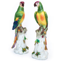 Massive Pair of Volkstedt Meissen Style Porcelain Macaw Parrots