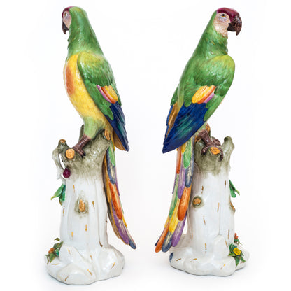 Massive Pair of Volkstedt Meissen Style Porcelain Macaw Parrots