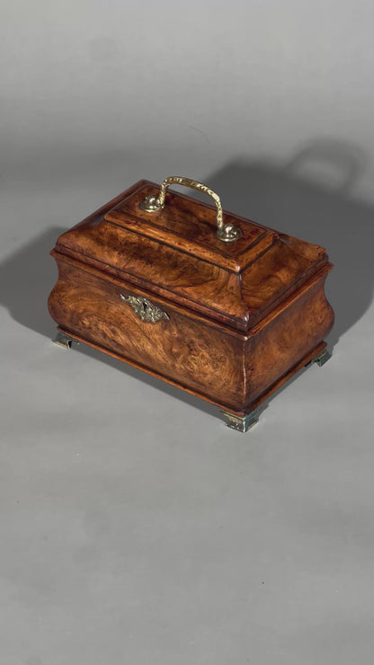 18th Century George I Period Burr Walnut Bombe Tea Caddy